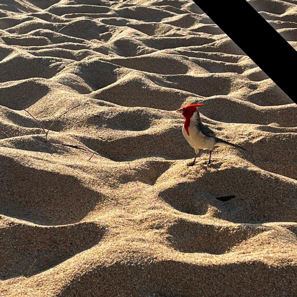 Meet your Posher, Mayra